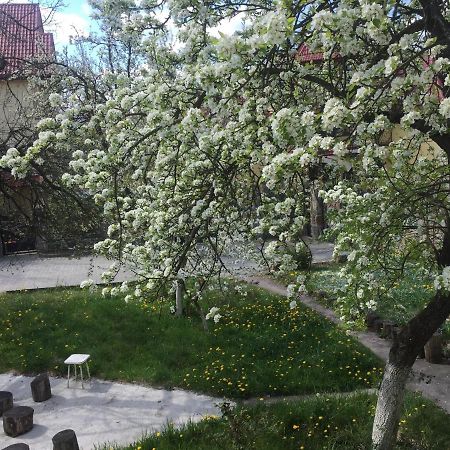 Квартира-Студия В Стиле Шале Truskaveț Exterior foto