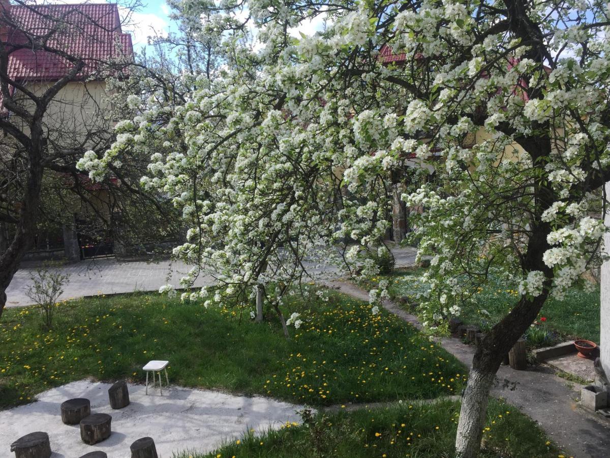 Квартира-Студия В Стиле Шале Truskaveț Exterior foto